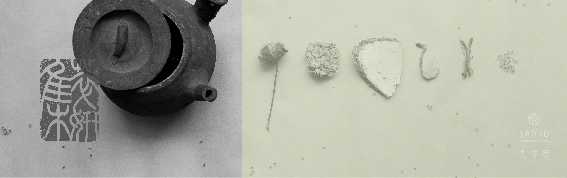 山芙蓉修護凝膠