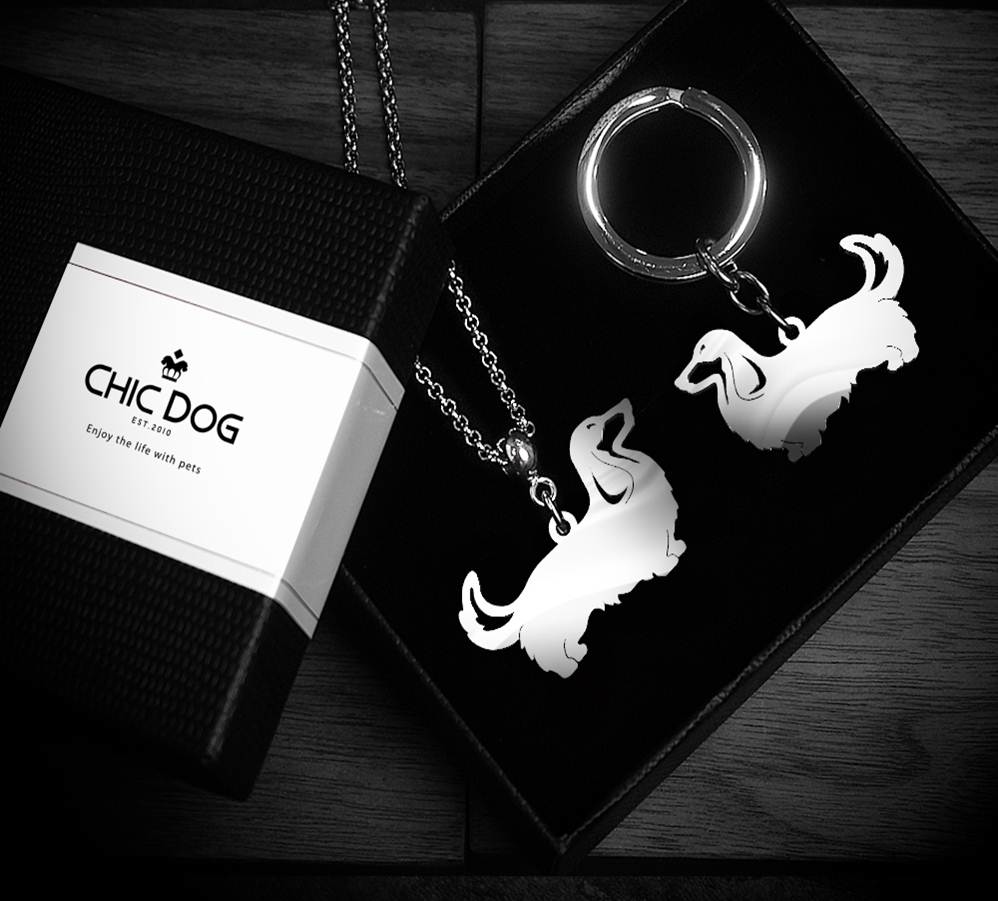 《限量》不鏽鋼長項鍊 鏤空造型牌