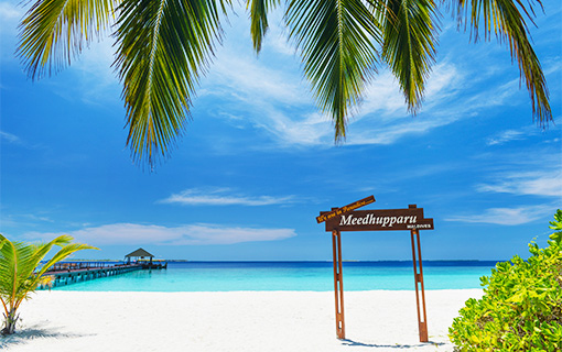 阿達郎精選密度帕如島度假村