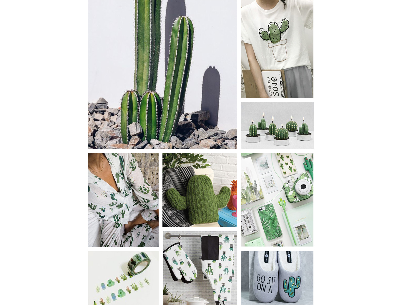 仙人掌,仙人掌紙膠帶,仙人掌衣服,仙人掌隔熱套,仙人掌室內脫,仙人掌睡衣,仙人掌抱枕,仙人掌周邊,仙人掌手機殼,仙人掌筆記本,仙人掌蠟燭,植物,多肉植物