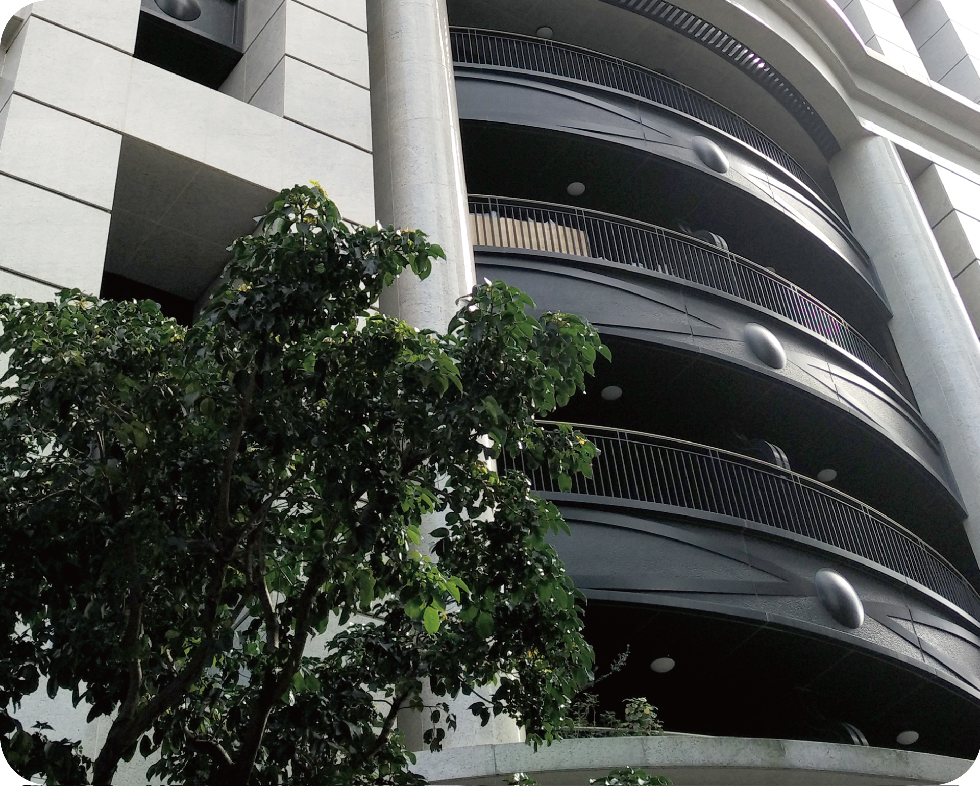 新北【吉美君品】用迪奧斯乳膠床墊