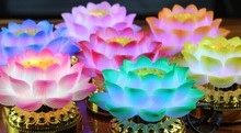 勝妙樂-LED七彩蓮花燈 （小）