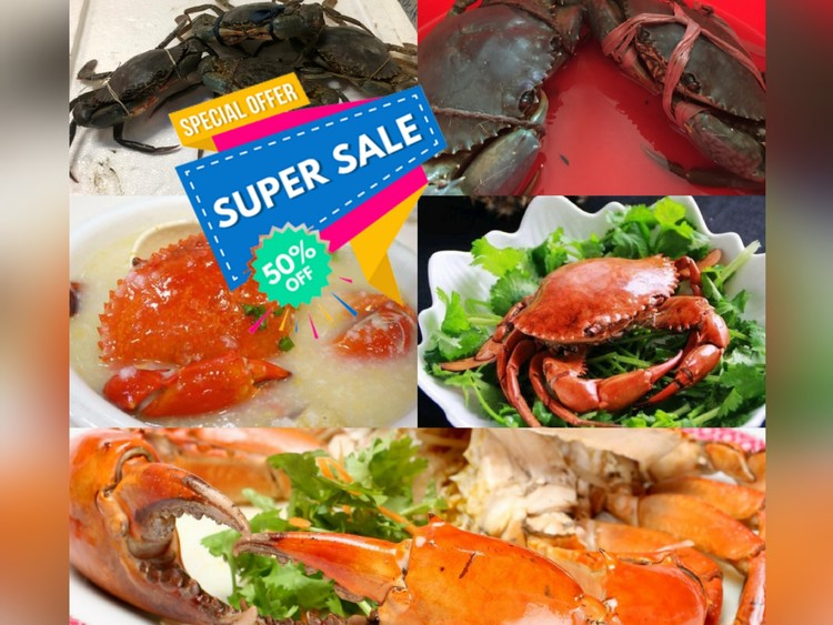 斯里蘭卡或越南肉蟹及奄仔蟹