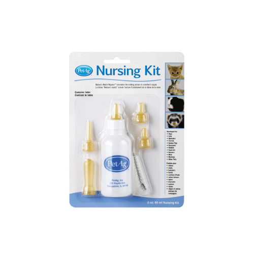 美國貝克-小護士奶瓶60ml |寵物奶瓶