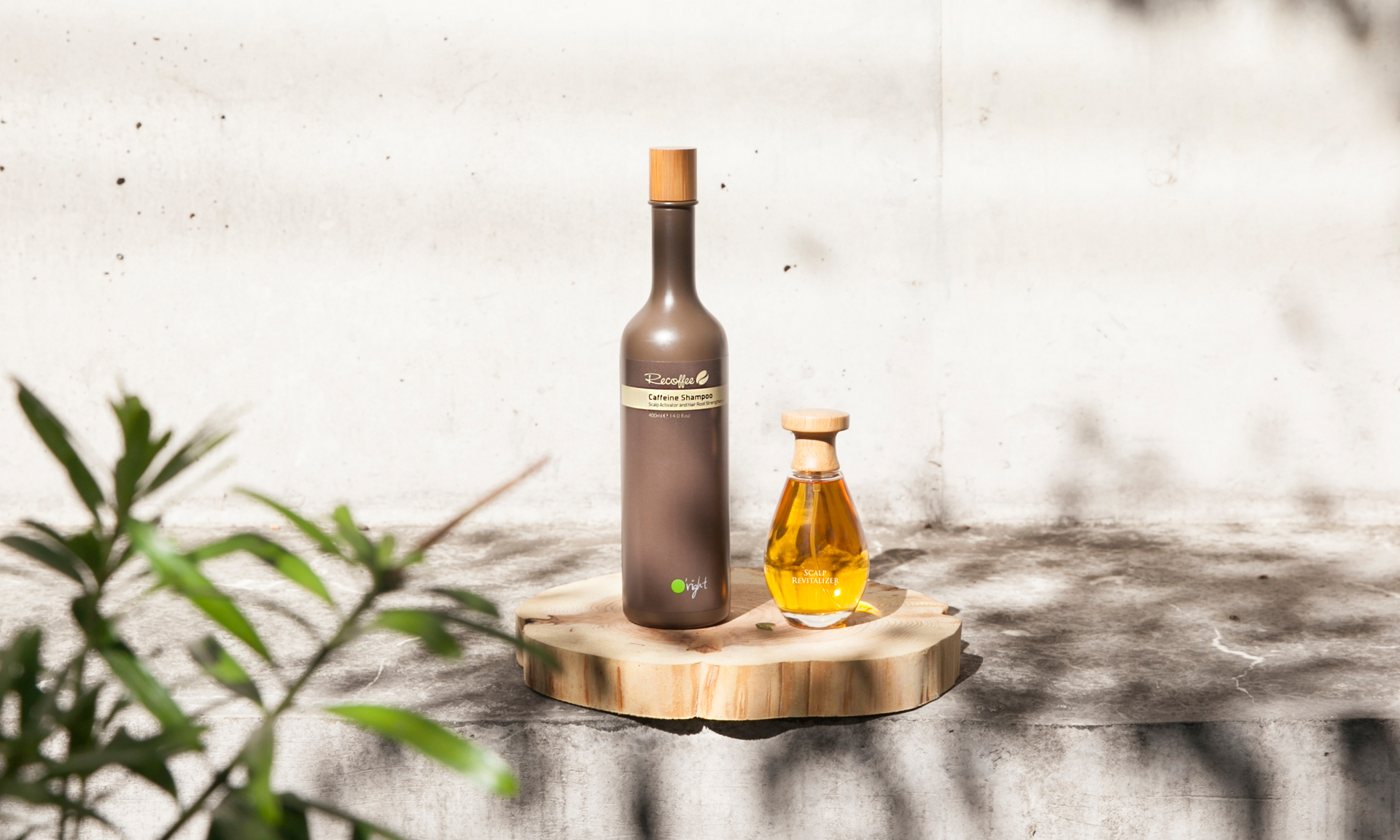 歐萊德,咖啡因洗髮精,養髮液