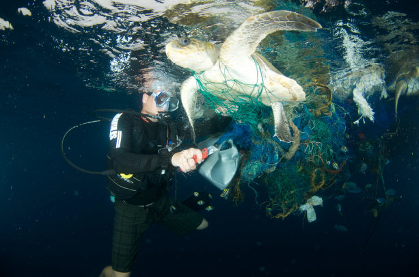 pacsafe防盜包海龜保育基金