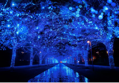 日本聖誕燈飾,韓國聖誕燈飾, 聖誕燈飾, 六本木, 潟留, 表參道, 大邱, 日本跨年, 韓國跨年, 2018跨年,JOYTEL,joy金卡,吃到飽不降速,日本網卡,韓國網卡,日本吃到飽網卡,韓國吃到飽上網卡,klook,kkday,飛買家