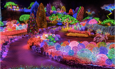 日本聖誕燈飾,韓國聖誕燈飾, 聖誕燈飾, 六本木, 潟留, 表參道, 大邱, 日本跨年, 韓國跨年, 2018跨年,JOYTEL,joy金卡,吃到飽不降速,日本網卡,韓國網卡,日本吃到飽網卡,韓國吃到飽上網卡,klook,kkday,飛買家