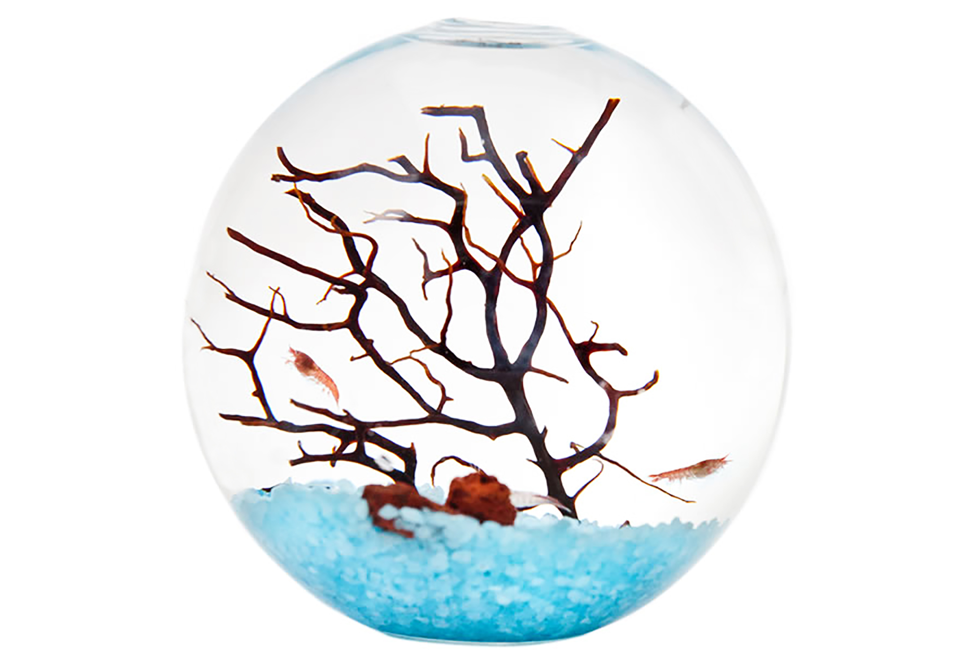 Moana Ecological ball ecological circulation system