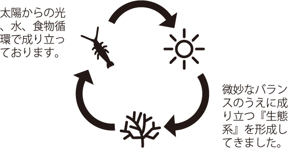 Ecological ball ecological circulation system