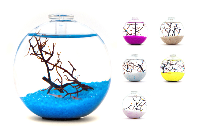 MOANA 生態球 生態循環系統 免運費