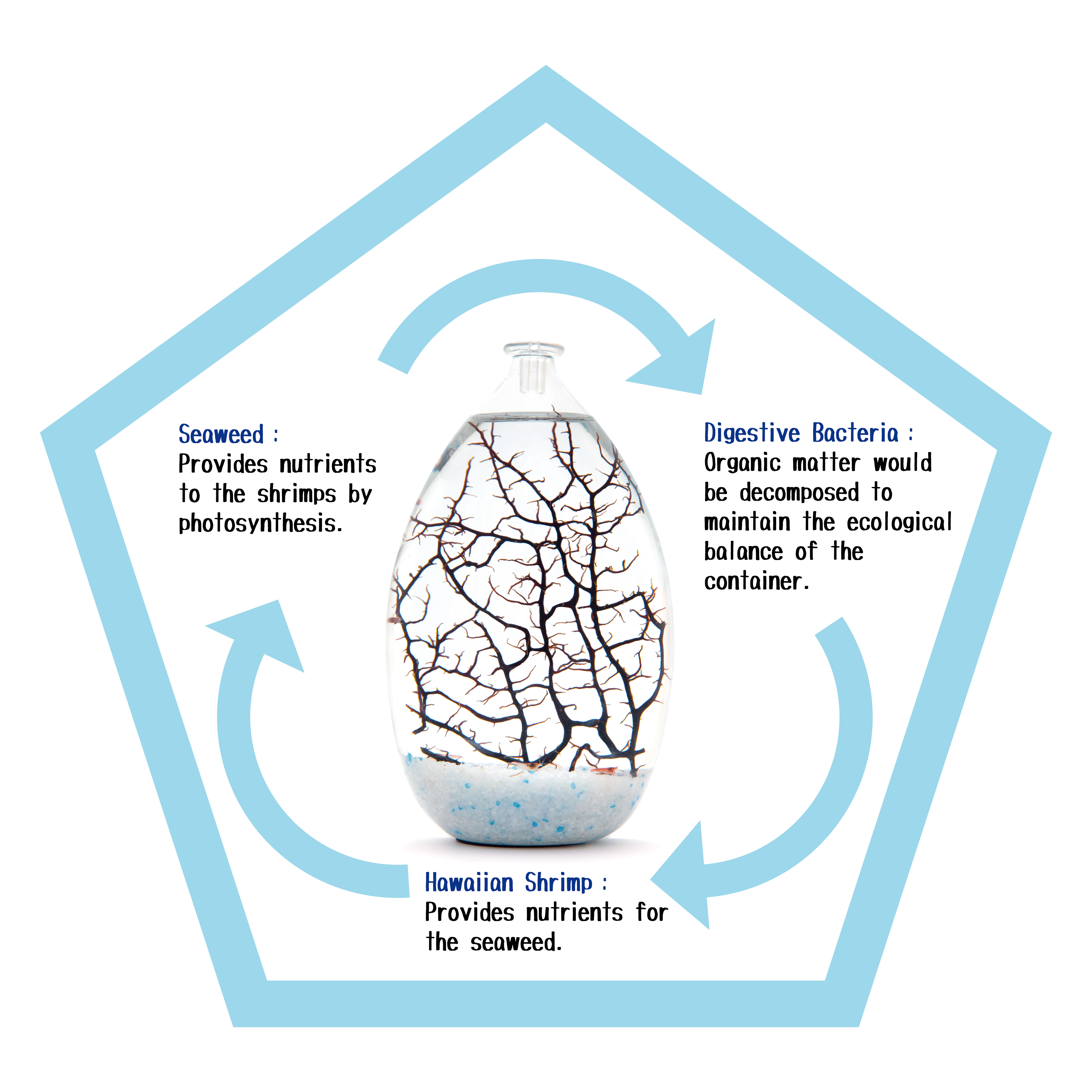 Ecological ball ecological circulation system