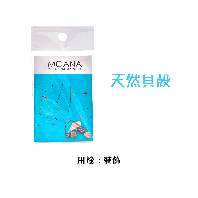 MOANA 生態球 生態循環系統 免運費 售後服務 shell