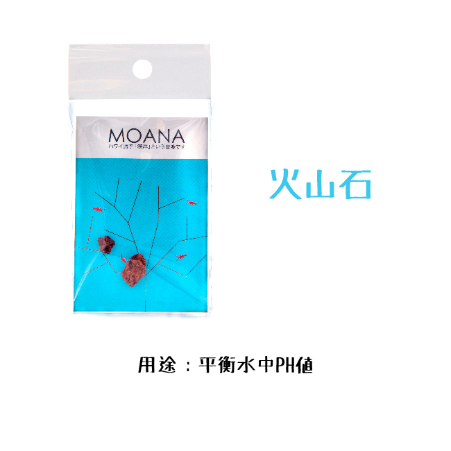 MOANA 生態球 生態循環系統 免運費 售後服務 火山石