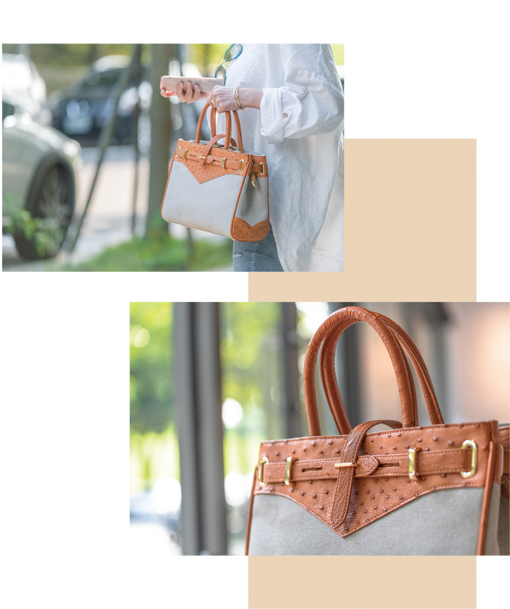 DMOM拼接鴕鳥手提包