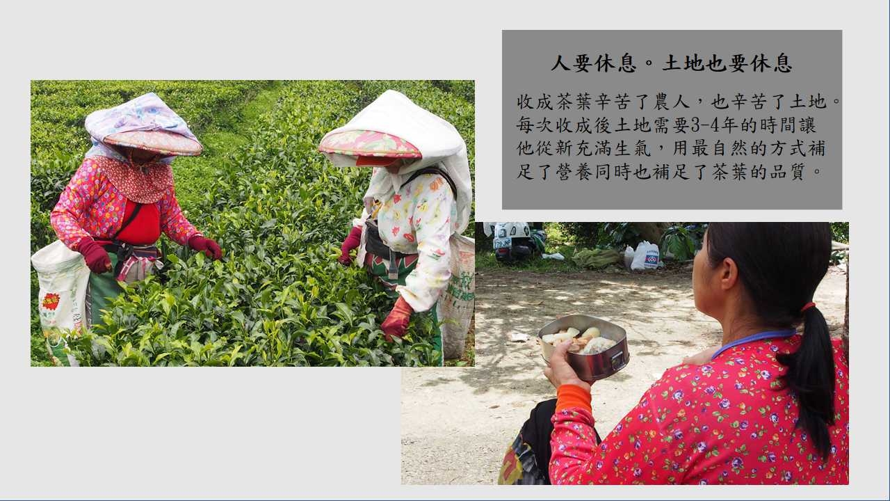 日月潭紅茶,有機紅茶,紅玉18,紅茶,內湖,換個角度有限公司,茶包,紅茶茶包