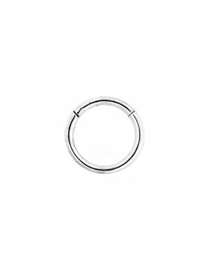 SS316L SURGICAL STEEL HINGED SEGMENT RING