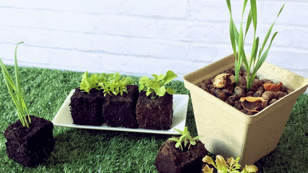 囍歡塊_gif_隨你組