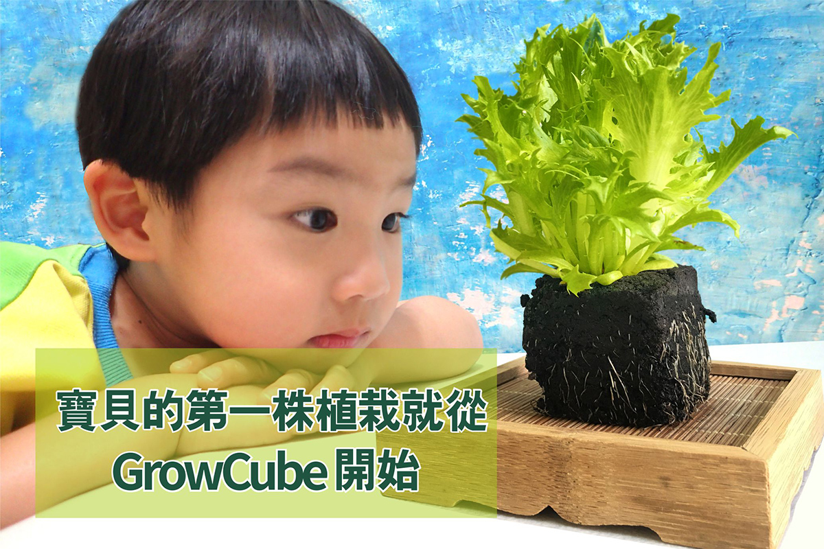 囍歡塊_寶貝的第一株植栽從GrowCube開始