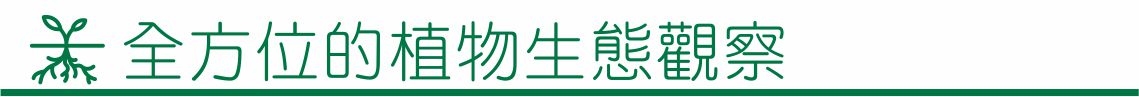 囍歡塊_全方位的植物生態觀察
