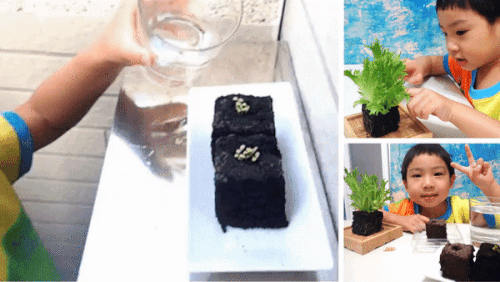 囍歡塊_gif_小孩自己動手種