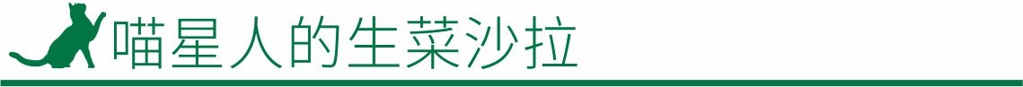 囍歡塊_喵星人的生菜沙拉