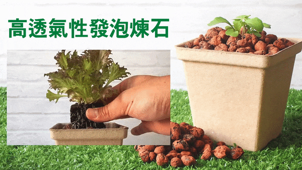 囍歡塊_gif_歡嘻盆搭配發泡煉石