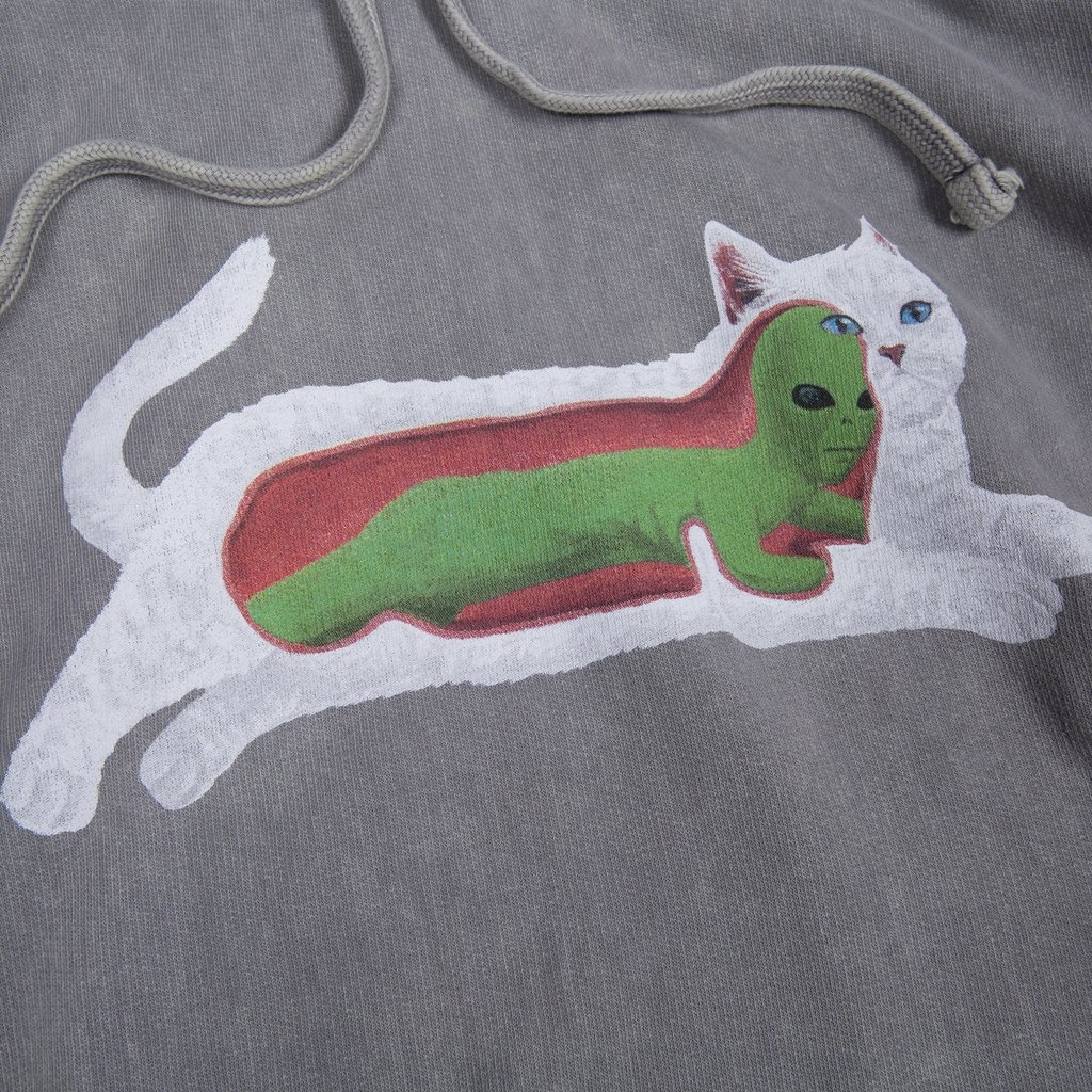 [現貨] RIPNDIP Transnerm Hoodie (Grey)
