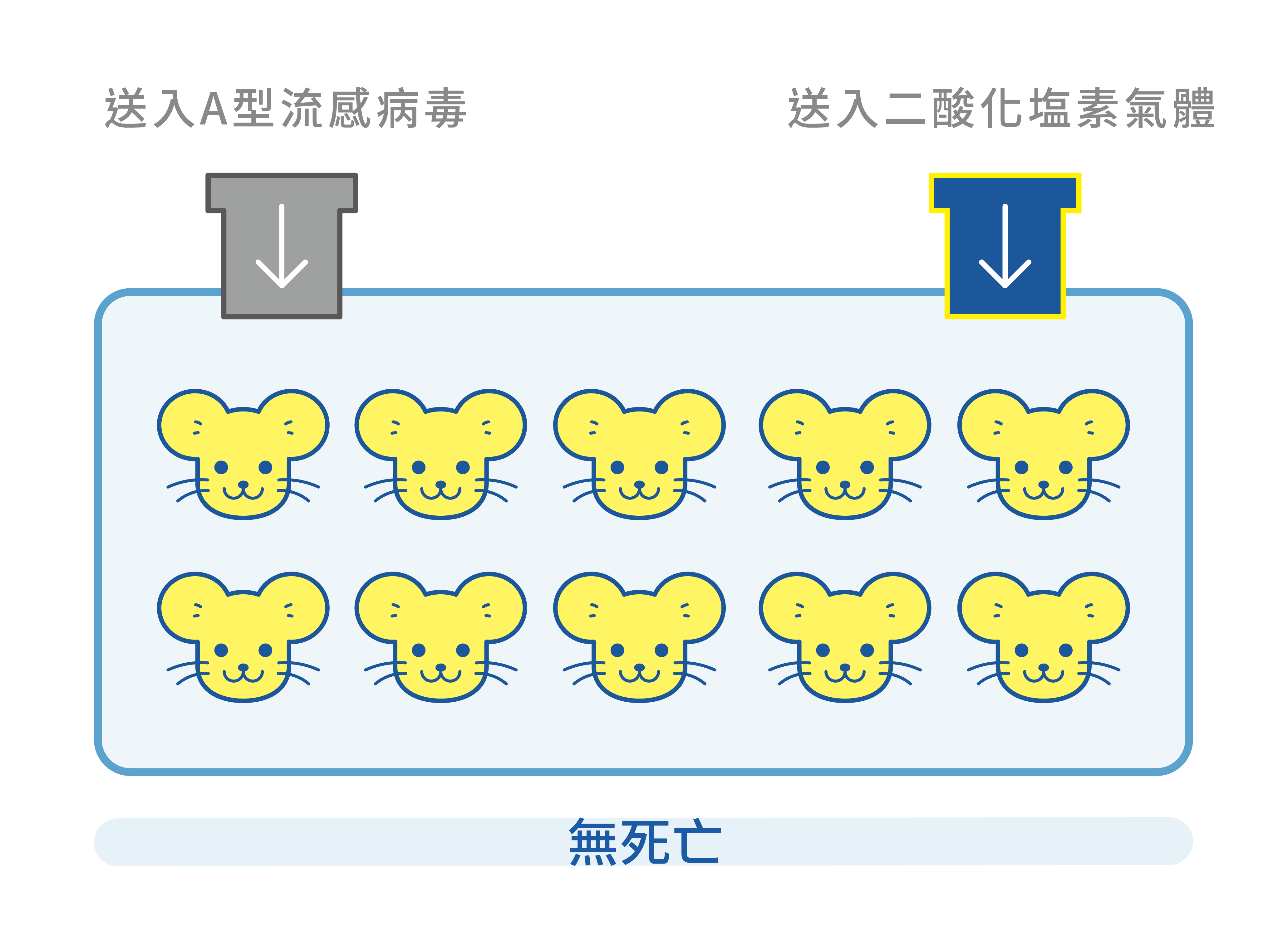 老鼠A型流感中，這一箱送入A型流感病毒及加護靈的二酸化塩素氣體，結果10隻老鼠中沒有任何一隻死亡