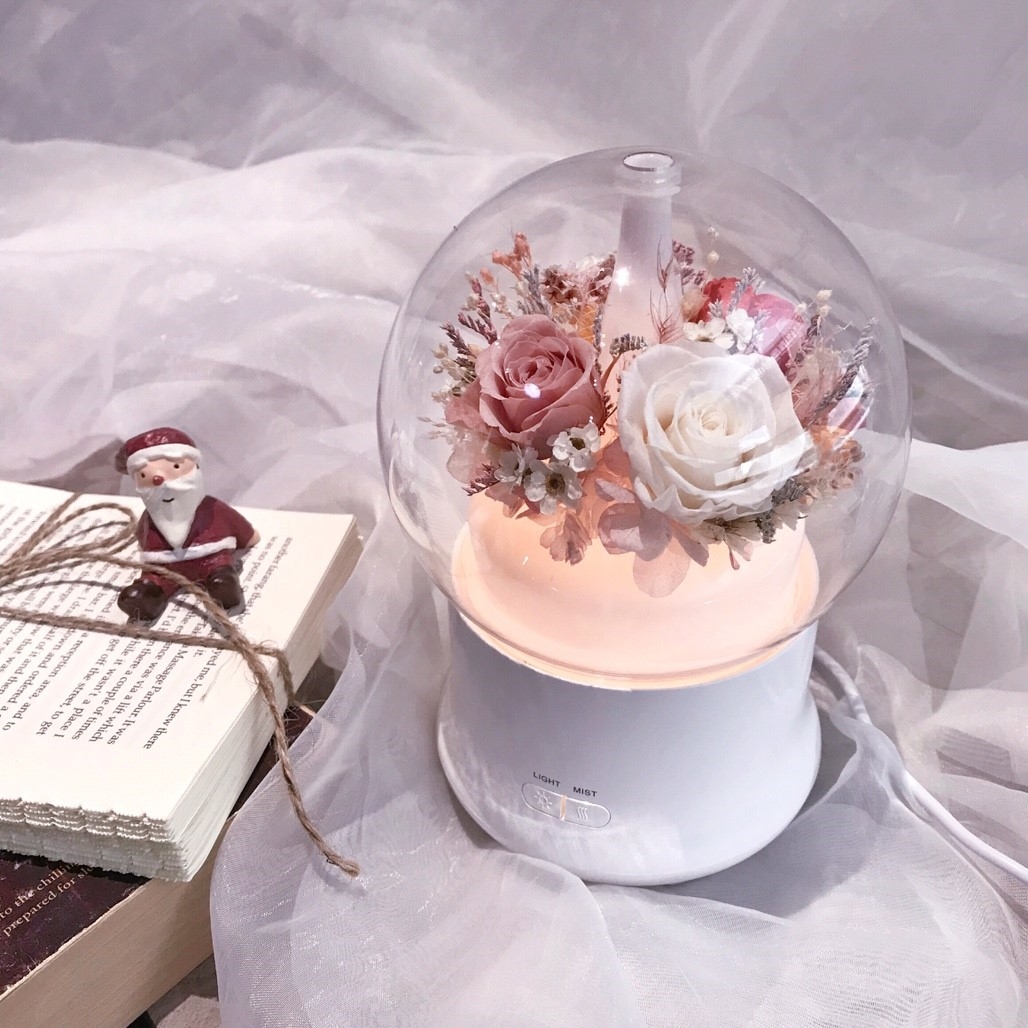 永生花水氧機-白粉