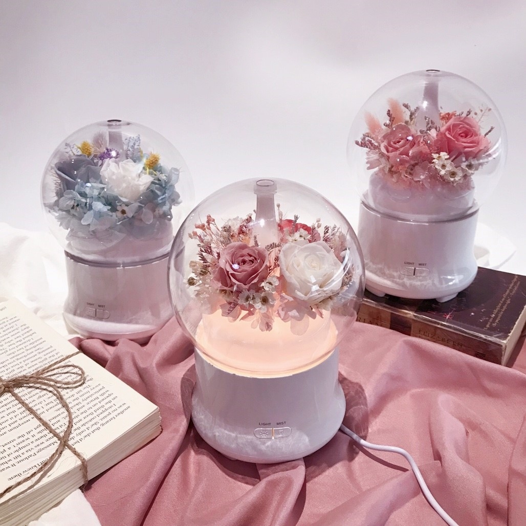 永生花水氧機-白粉