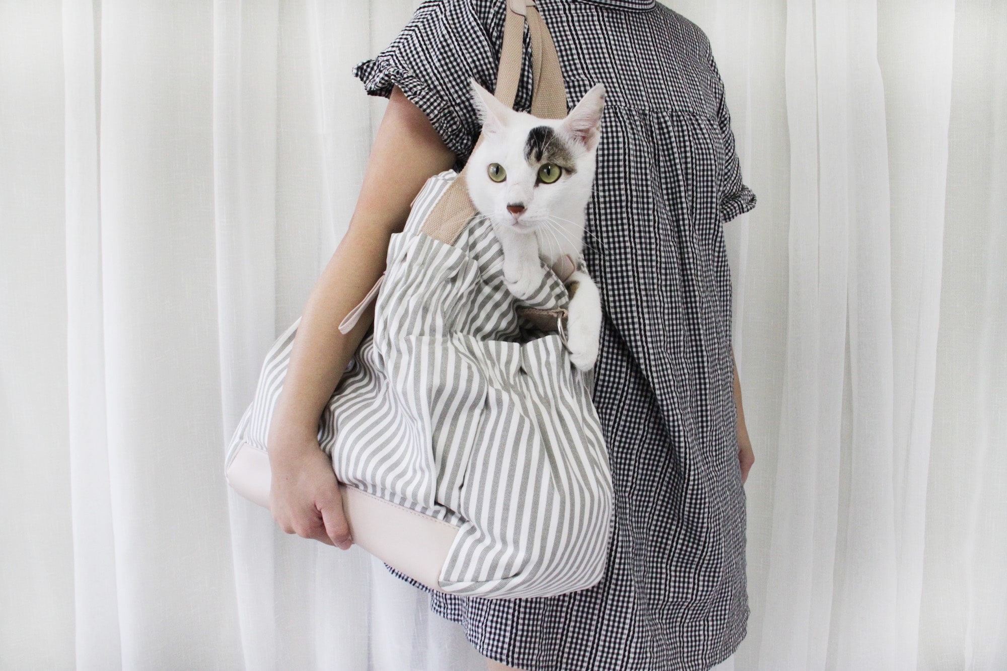 超大容量放一隻貓也沒問題