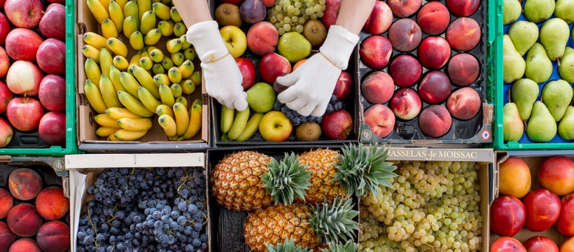 順豐果欄,果欄,水果,新鮮水果,水果批發,果籃,果禮,水果禮籃,過大禮果籃,優質水果,日本水果,FruitLann,FruitMarket,Fruit,WholesaleFruitMarket,Hamper,FruitGift,FruitBasket