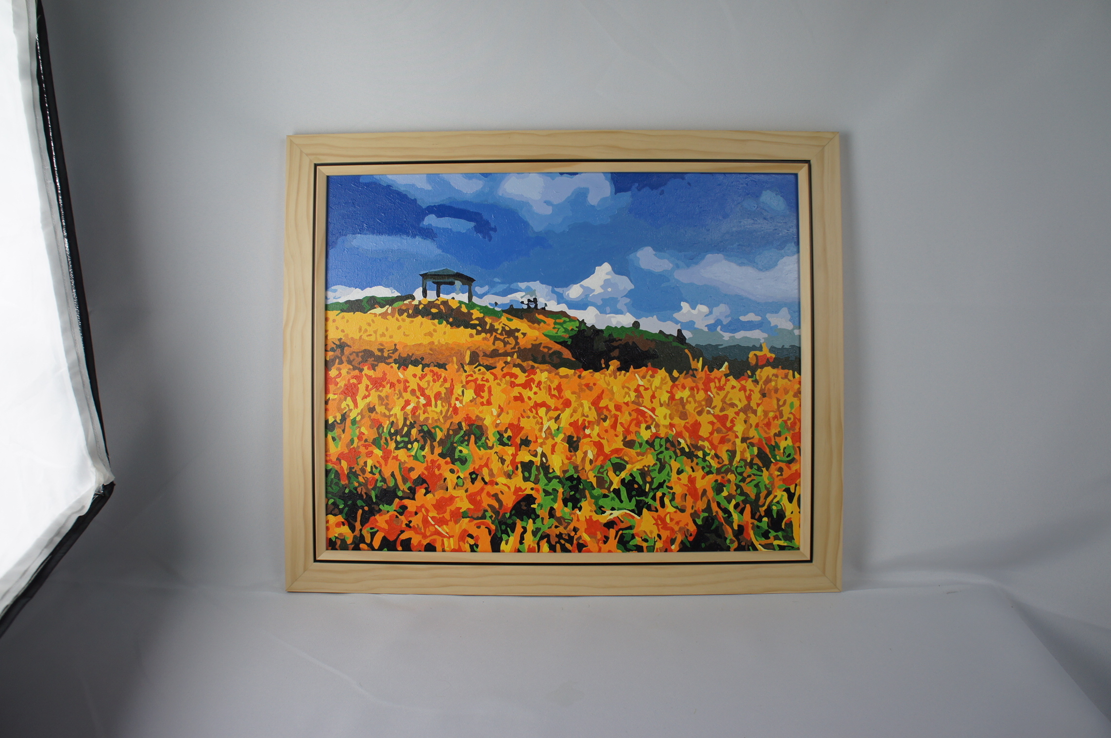 【TW013】台灣風情誌-花蓮六十石山金針花海