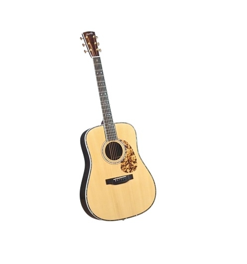 Adirondack Spruce 阿迪朗達克雲杉