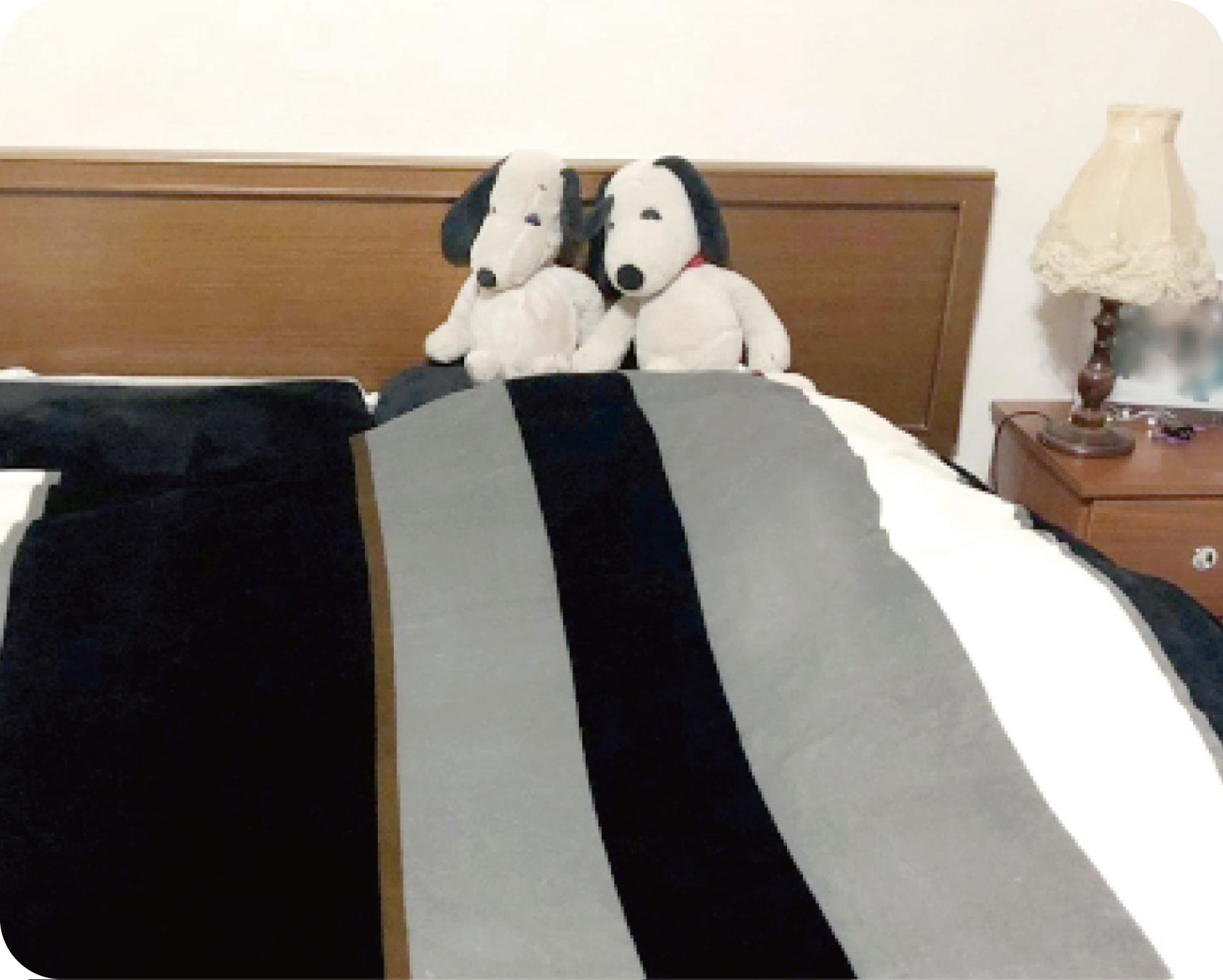 迪奧斯天然乳膠睡起來就像嬰兒睡在媽媽的懷裡那樣柔軟、舒適、安心