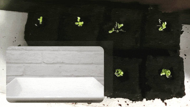 囍歡塊_gif_操作步驟