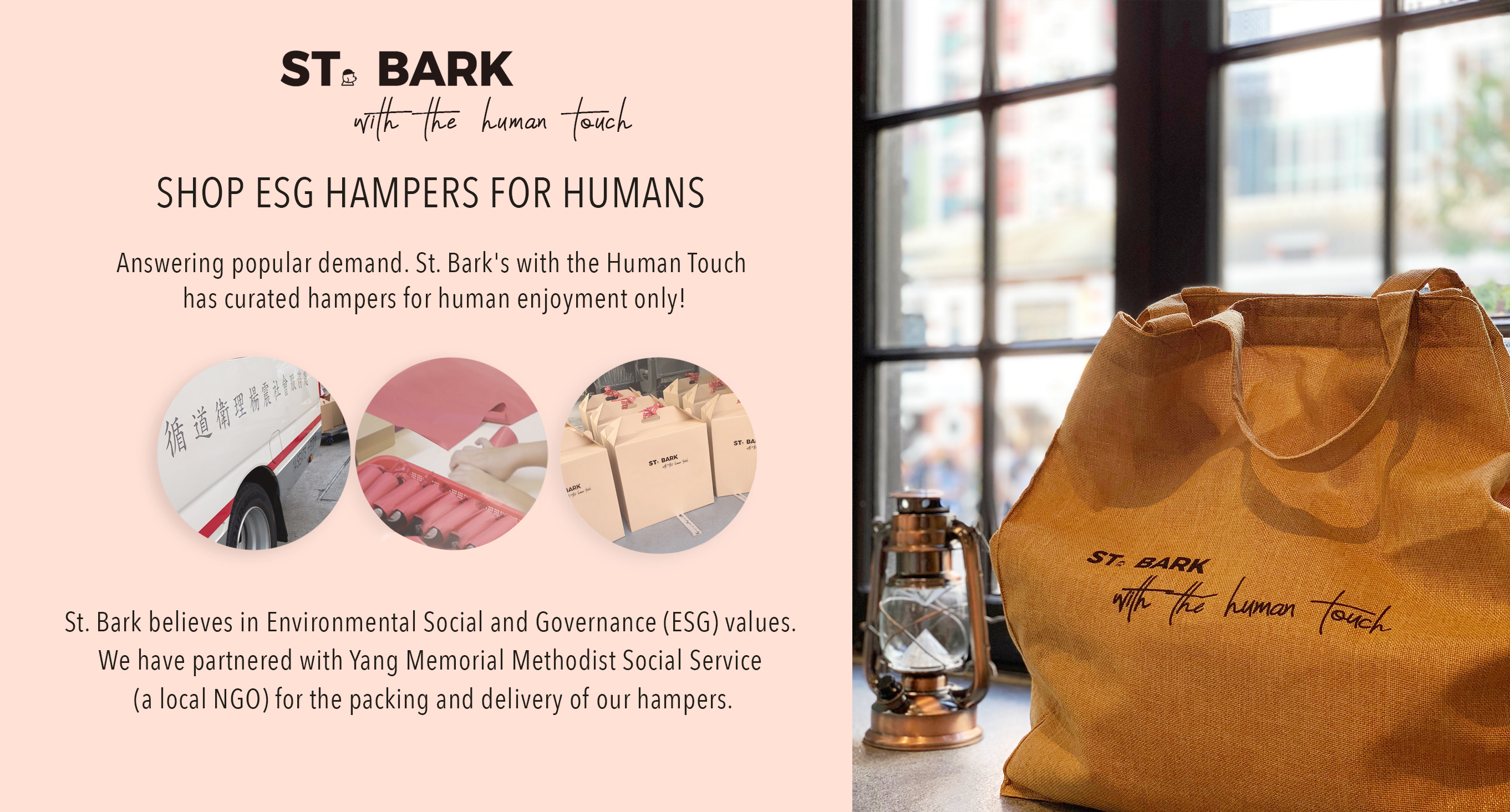 St. Bark With the Human Touch