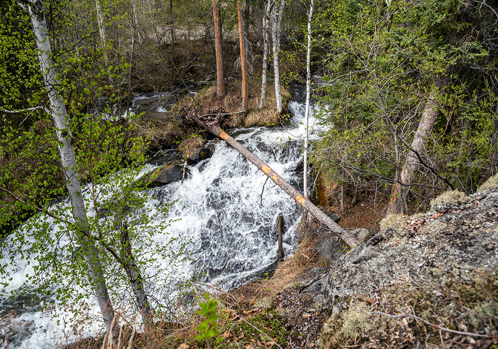 沐樂旅遊黃刀鎮極光
