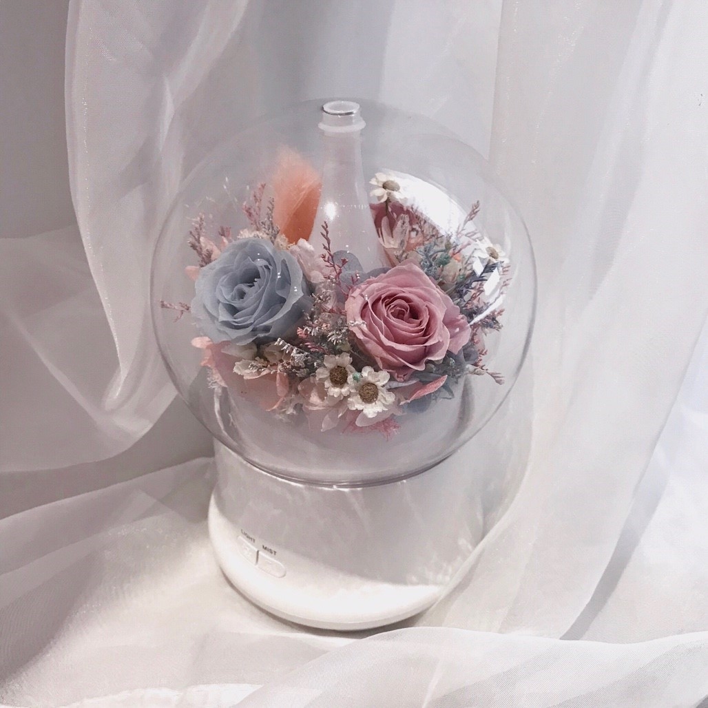 永生花水氧機-藍粉