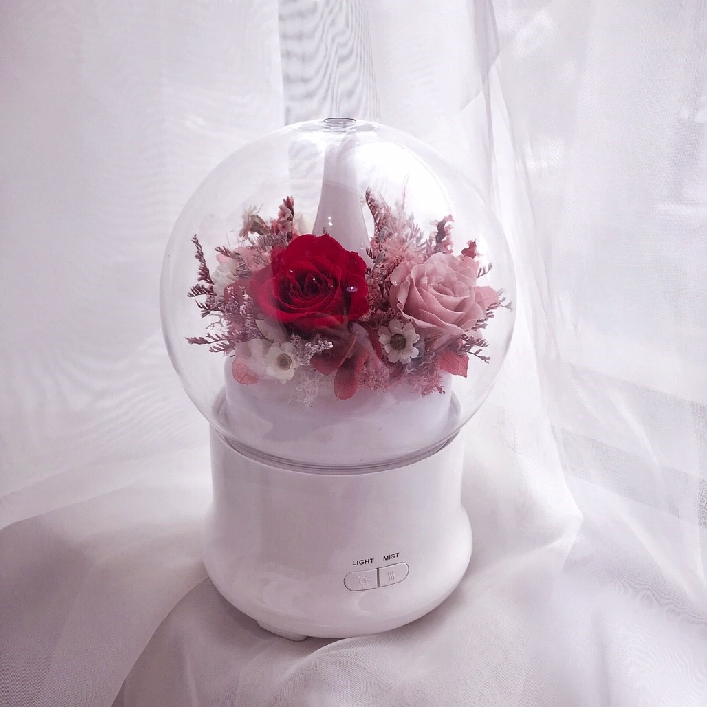永生花水氧機-紅粉