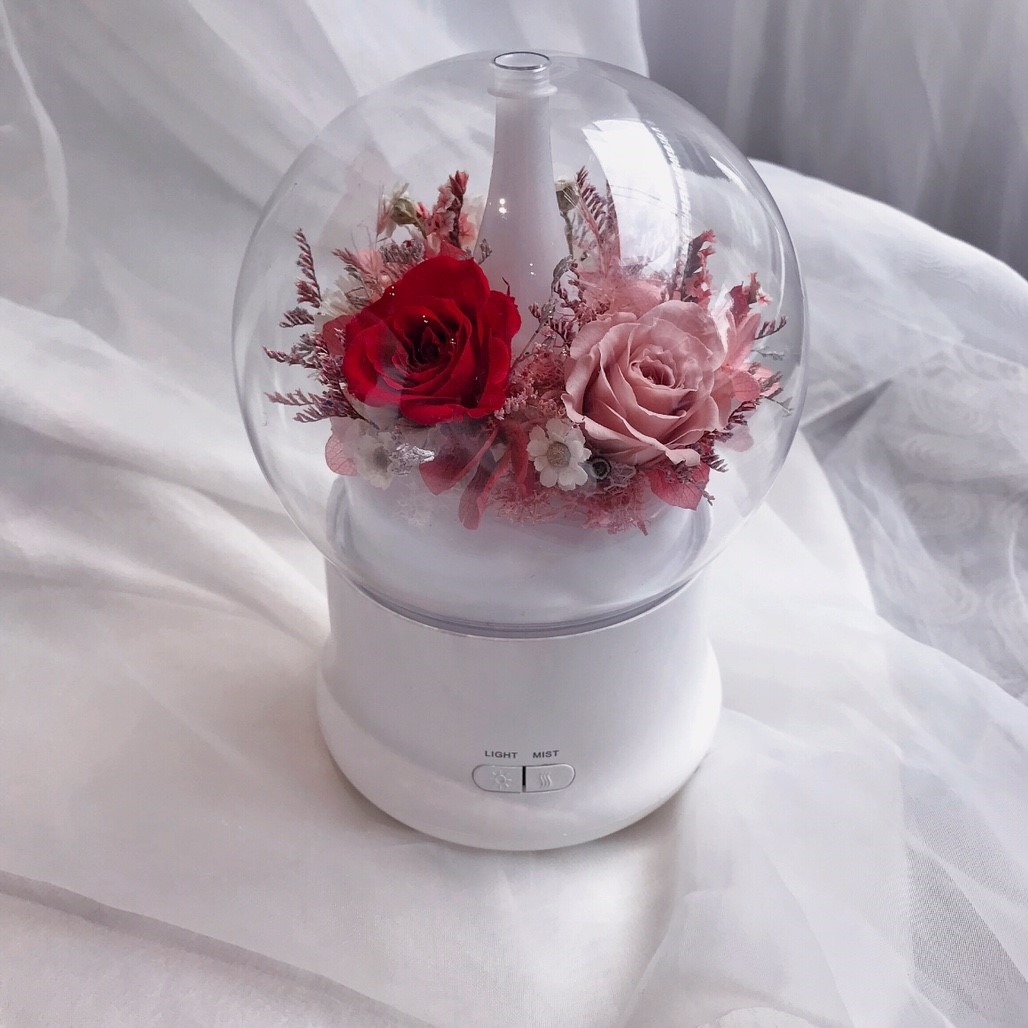 永生花水氧機-紅粉