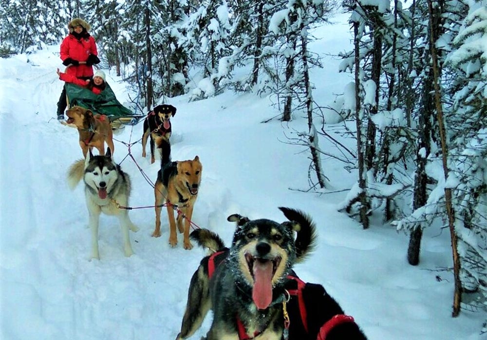 沐樂旅遊黃刀鎮極光