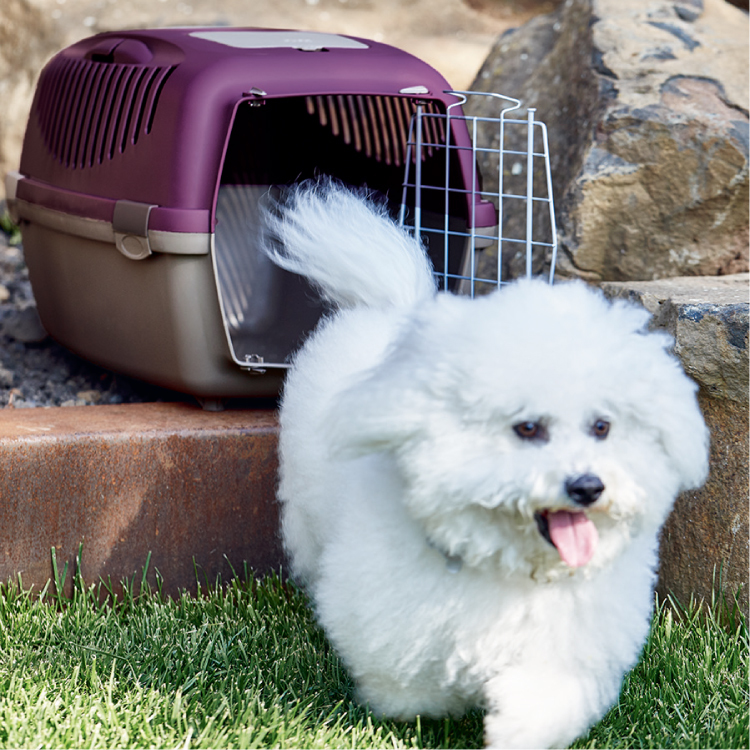 多功能運輸籠｜義大利 Stefanplast