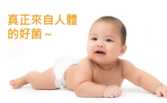 日本乳酸菌膠囊【比菲德氏菌種】30顆/盒-大醫生技(買2送1)