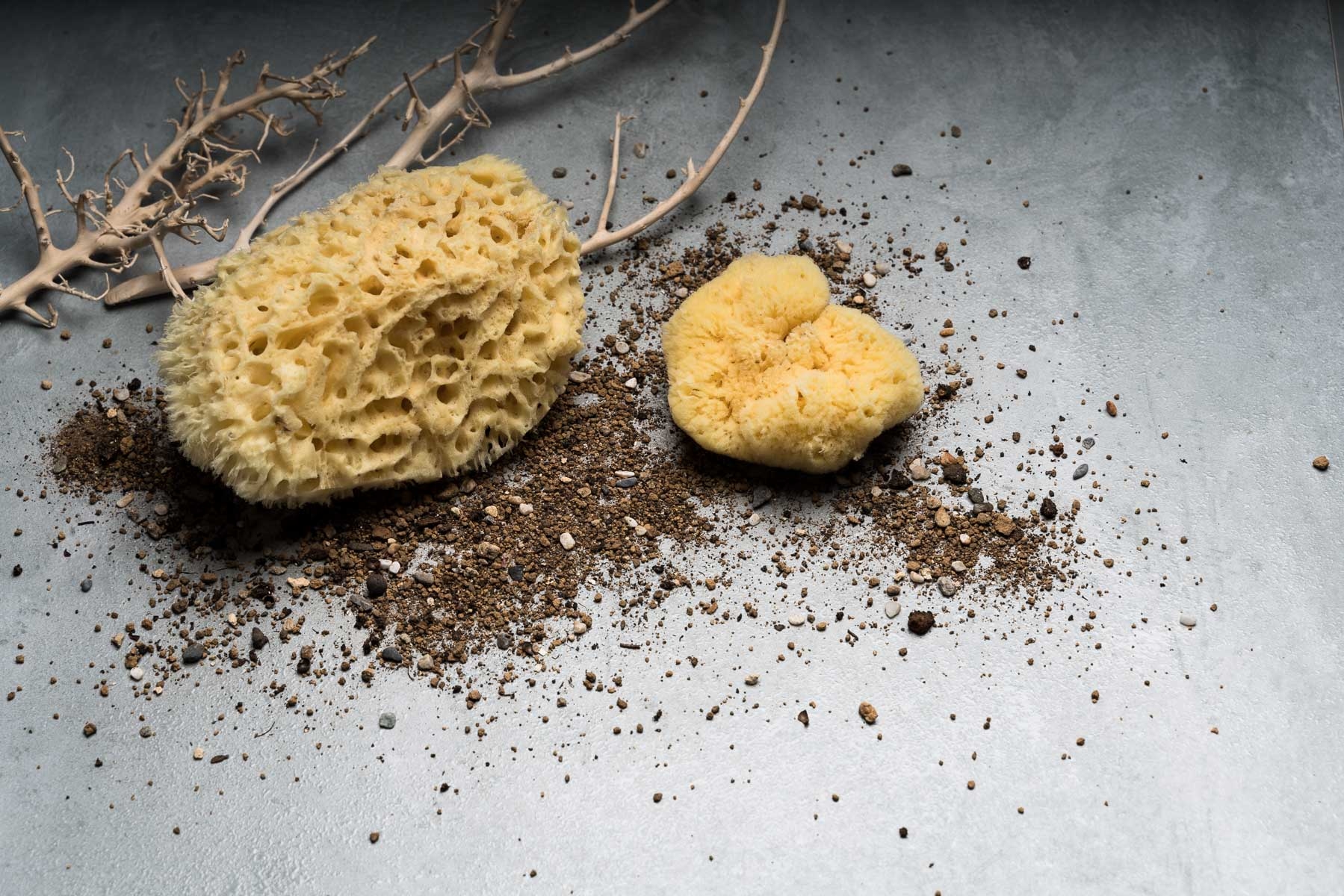 希臘地中海 天然蜂巢海綿