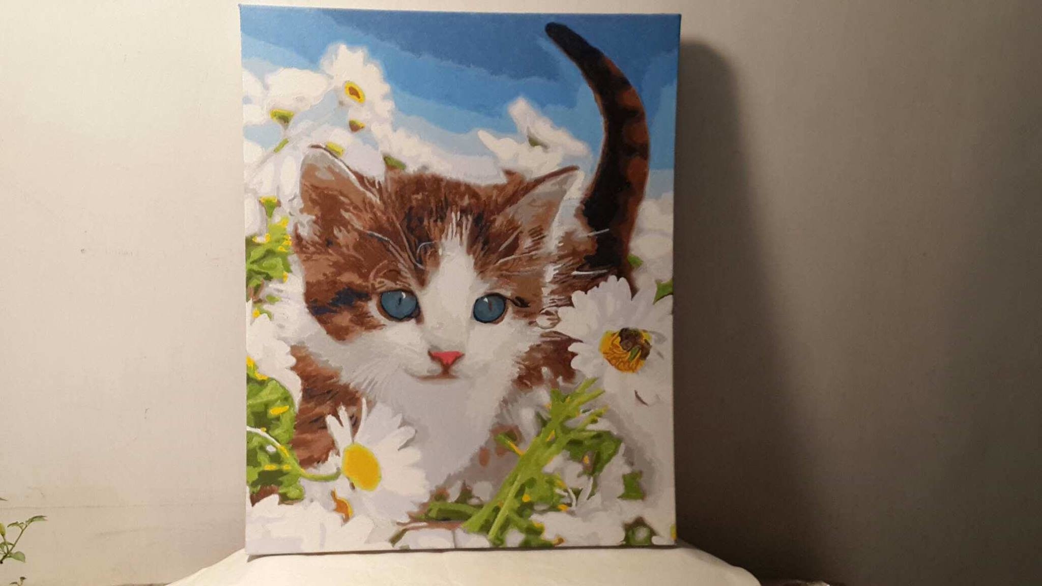 【DT011】花園小貓