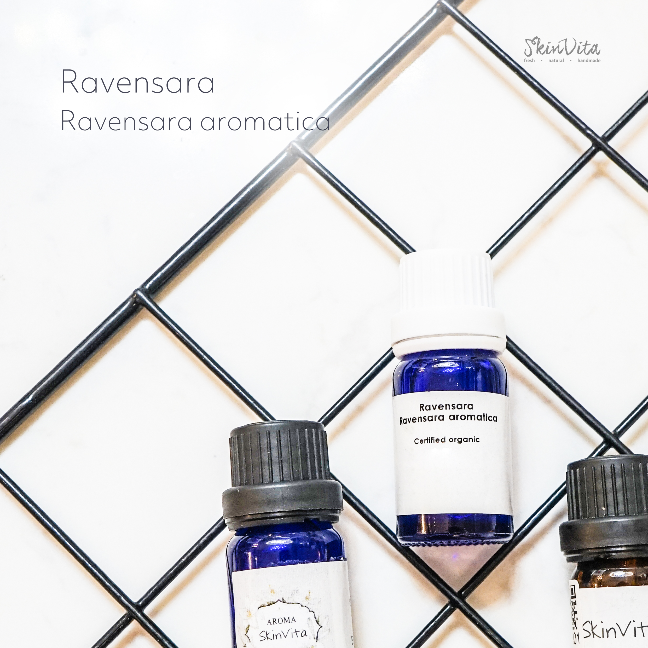 Ravensara Essential Oil 羅文沙葉