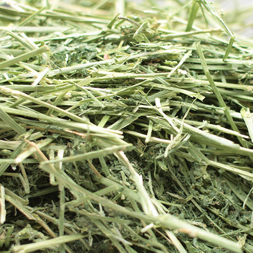 牧草,Timothy hay, rabbit