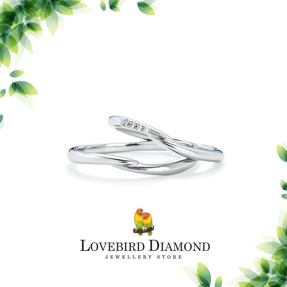 11.22 夫婦 - Romantic Moments 鉑金 (Pt900) 結婚戒指